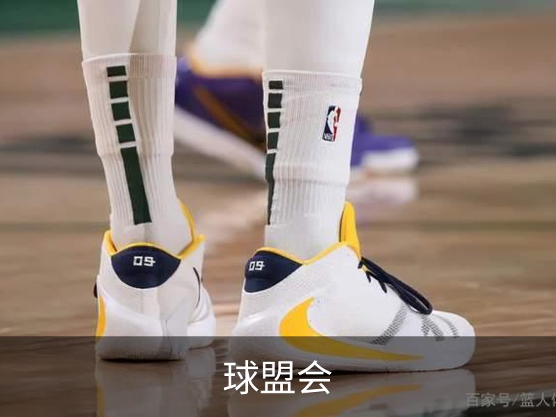 了解球盟会