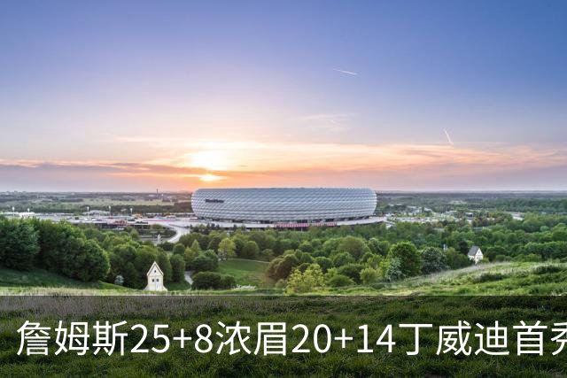 詹姆斯25+8浓眉20+14丁威迪首秀 湖人大胜活塞